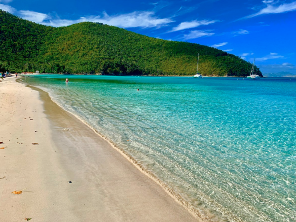 Discover Your Tropical Oasis on St. John